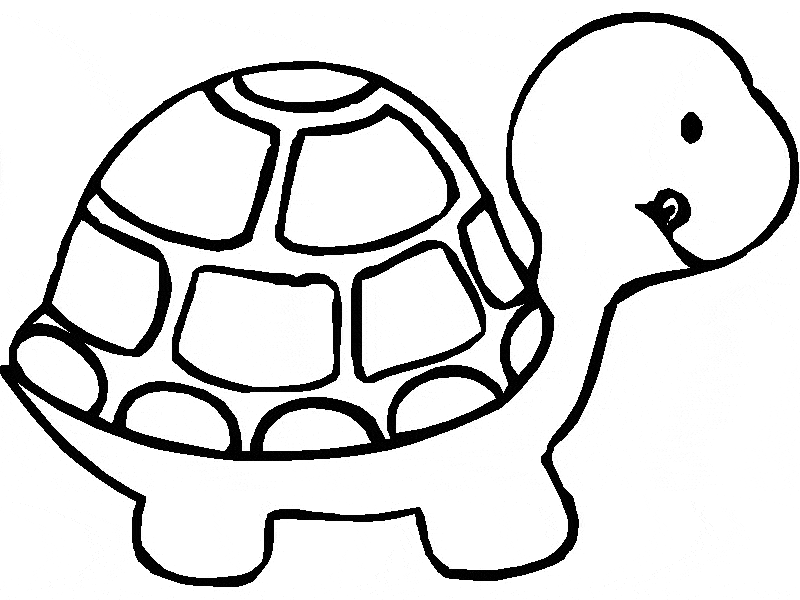 turtle-coloring-8.gif