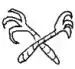 chik.webp