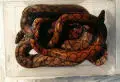 snakes.webp