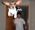 images.webp