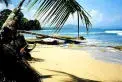 images.webp