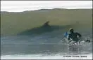 images.webp