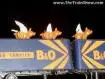 flyin_pigs.webp