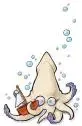 squid.webp