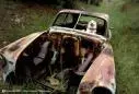car.webp