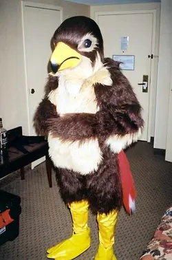 hawk.webp