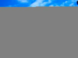DSC00928.webp