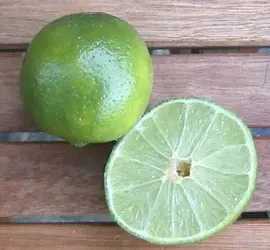 fresh_lime.webp