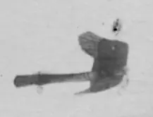 Airshow2.webp