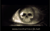 eye.gif