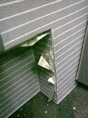 wall.webp