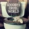 goodbuycruelworld.webp