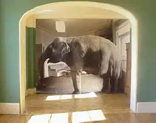 elephant_in_living_room.webp