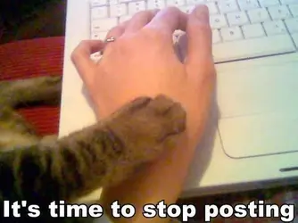 1156_Its_time_to_stop_posting_lolcats.webp