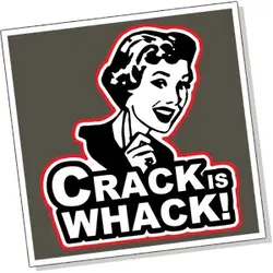 crack-is-whack300.webp