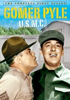 Gomer-Pyle-USMC-The-Complete-First-Season.webp
