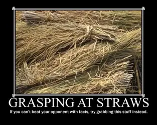 graspingatstraws.webp