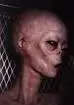 alien grAAy.webp