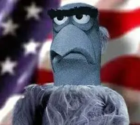 kerry muppet.webp