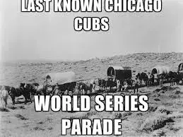 cubs.webp