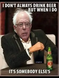 bernie.webp