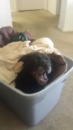 8800BD8E-9096-473D-B890-C404A8D9D780.webp 8800BD8E-9096-473D-B890-C404A8D9D780.webp