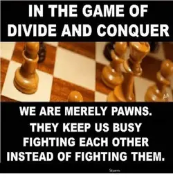 1A5147F6-7B0F-4424-B158-4D84F71B7394.webp
