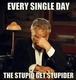 Stupider.webp