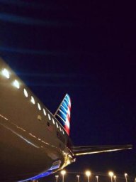 wings396