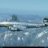 birdstrike
