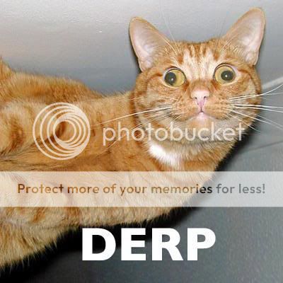 1392985-091128_derp_super.jpg