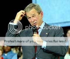 BushDumbLook1.jpg