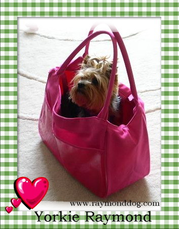 Raymond%20pink%20bag%20in%20frame%20new.JPG