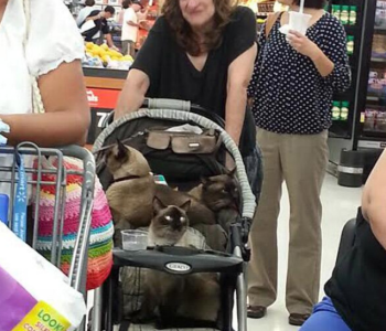 www.peopleofwalmart.com