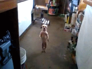 tumblr_m6c6ldWmDE1rzgpbyo1_400.gif