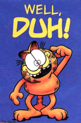 duh-garfield.gif
