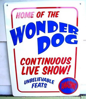 Wonder_Dog.jpg