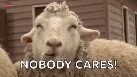 sheep-feeling-it.gif