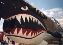 TigerTeeth.jpg