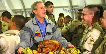 4bush.jpg