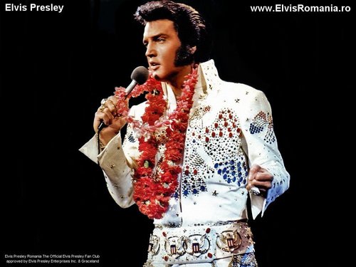 Elvis-elvis-presley-10252942-500-375.jpg