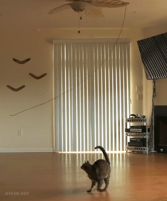 uetfmGVmMSr3a.gif