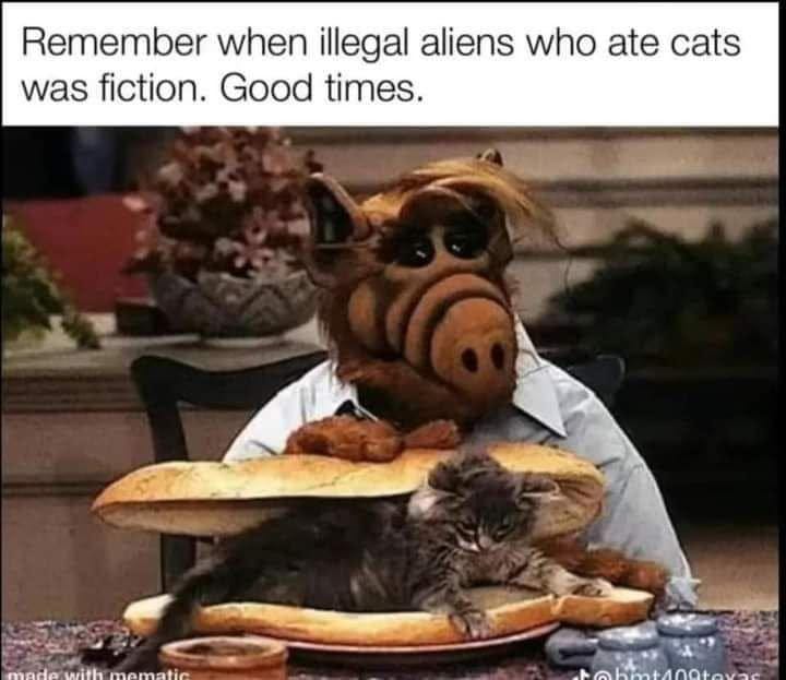1726323665169-682922771308128.jpg