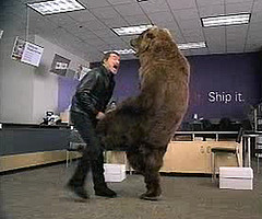 bearkicknuts.jpg