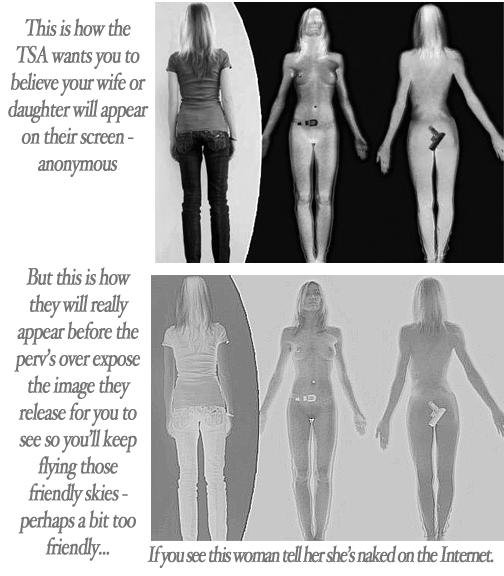 TSA-Scanner-Images.png