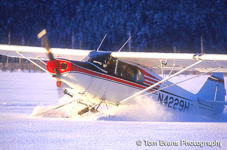 supercub_snowlanding_evans.jpg