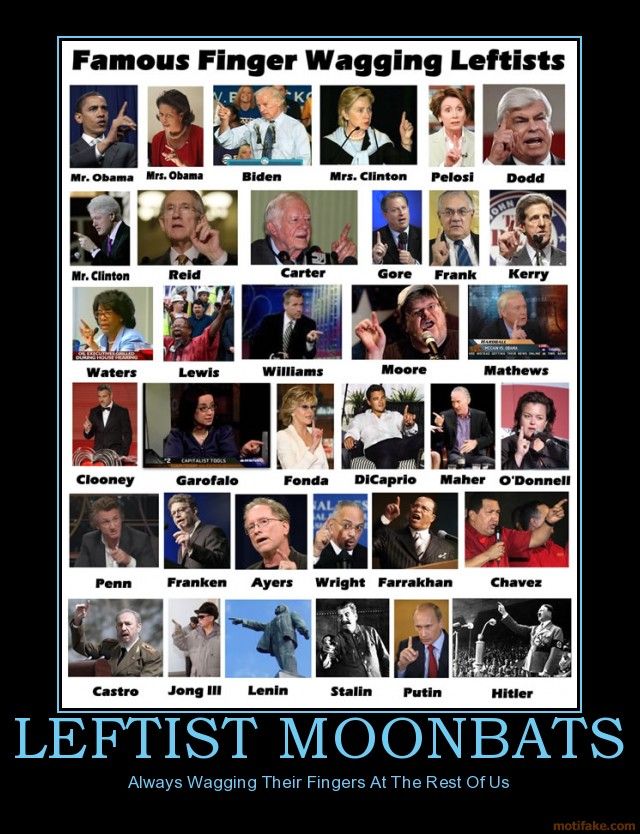leftist-moonbats-demotivational-poster-1245290295.jpg