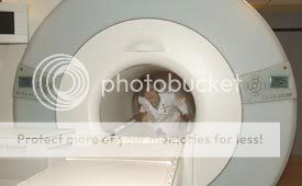 MRI1.jpg