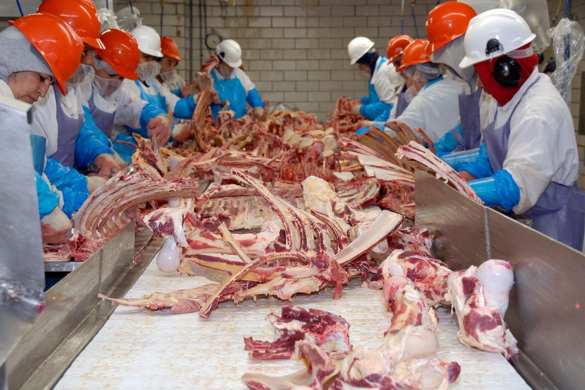 200417-meatpacking-slaughterhouse-workers-pandemic-coronavirus-covid-19-jbs-smithfield-2-usda-1200x800.jpg