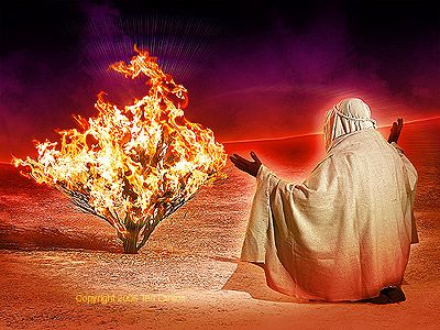 moses-and-the-burning-bush-the-bible-27076046-400-300.jpg